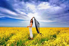 大美宁夏周边最全“扫黄”攻略在此，12片油菜花海把你看醉！图片