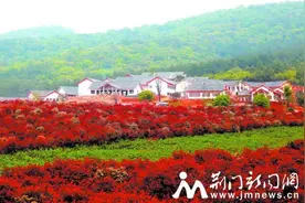 中国农谷院士村初具雏形图片