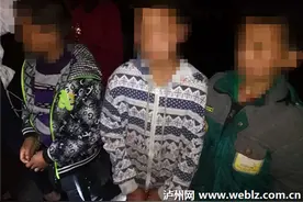 泸州：四名小学生结伙逃课偷盗 被警方查获图片