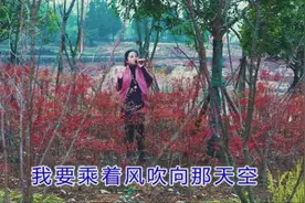 这首动感歌曲《我要飞》农村大妈跳舞唱歌一样厉害视频封面