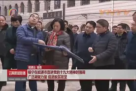 杨宁在昭通宣讲党的十九大精神时强调 广泛凝聚力量 促进脱贫攻坚视频封面