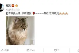 演技好的女神舒淇不再演戏了吗？深夜发文暂告演员生涯图片