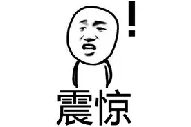 莫迪给伊万卡看的真是“印度制造”，但过程很艰难……图片