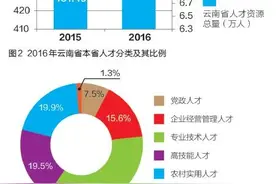2016年度云南省人才发展统计公报图片