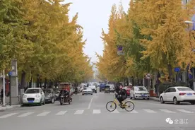 温江这条街最美的20天开始倒计时，错过等明年！另外，温江学生为西成高铁画了组漫画，一看就是资格吃货……图片