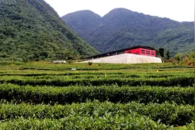 从有县无城到现代生活，“秘境”墨脱是怎么做到的？图片