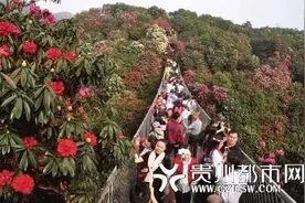 新闻边卡吊“遵义县”将成为历史，以后这个地方叫“播州区”图片