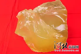 蔚县煤矿淘出“大块头”天然琥珀 专家称少见图片