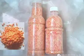 交流：野钓老手的麝香米使用经图片