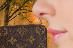 教你如何辨别奢侈品LV包的真假图片