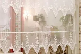 觉得门帘老土的  那是因为你自己太土啦！图片