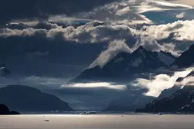 北岛：食物链的排列顺序，是不可逆转的图片