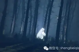 我在梦里  想着你图片