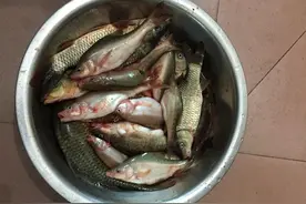 洞钓达人带我飞图片