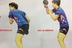乒乓球直拍横打技术的训练方法（吴敬平指导）图片