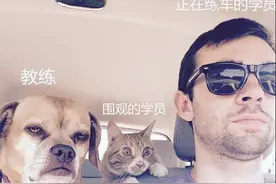 今日段子神回复：你们的教练是这个样子吗？图片