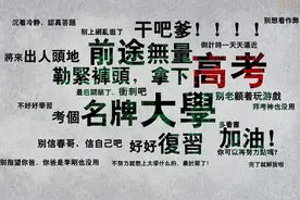 温州这8所高校今年这样考！最新政策解读点这里！图片