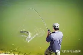钓技：速看！五大逗鱼技巧！图片