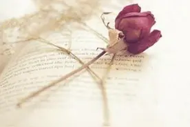 再痛的情伤，这五招都能治愈 希望你永远不会用到它们图片