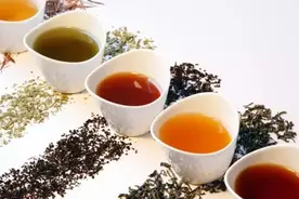 吃哪些药不能喝茶？看医学博士给个权威解答图片