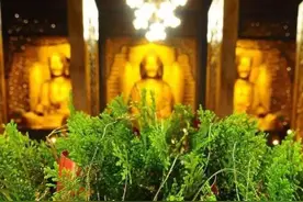 星云大师除夕祈愿文，开口那一刻已泪流满面图片