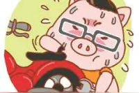 运势丨属猪人的猴年运势图片