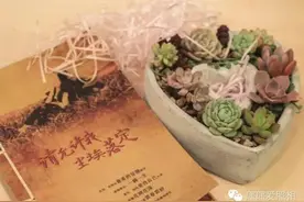 我说，多肉植物的花语是，守护幸福——情人节快乐！图片