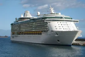 邮轮旅行，房间你会选吗？图片