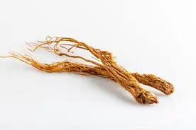 当归泡水喝的功效及禁忌图片