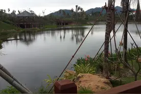 曾经的贫困村，如今三亚乡村游地的香馍馍图片