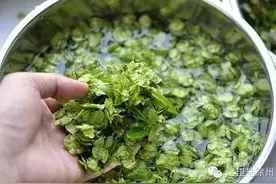 春天了，徐州的这六种野菜千万别错过，不仅养生还祛病！图片