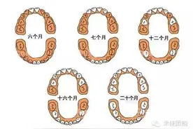 了解宝宝出牙的征兆、顺序以及最佳护理时间~图片