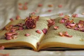 盘点一下一月二月读过的闲书（不求逼格，只要共鸣）图片