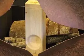 阿尔卑斯山上的音乐天“材”！图片