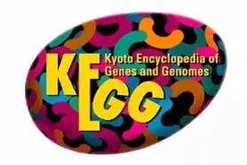 麦子陪你做作业（二）：KEGG通路数据库的正确打开姿势图片
