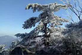 美哉！今日大雪 安吉龙王山现雾凇奇景图片