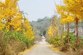 舟评丨你知道吗？舟山最有钱的镇是这个图片