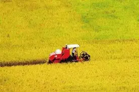 惊天骗局！他们里应外合“吞掉”了6000万图片