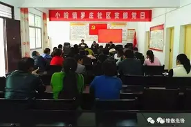 罗庄社区“主题党日”构建志愿服务长效机制图片
