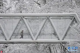 银装素裹冬日恋歌 各国最美雪景惊艳到窒息图片