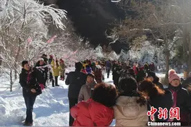 河北野三坡首启冬季旅游 “与狼共舞”“鹿拉雪橇”嗨翻天图片