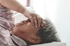 蜂疗：以毒攻毒？图片