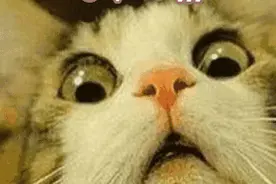 东莞司机 从莞高速公路月底将收费！收费标准是……图片