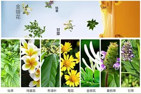 王老吉凉茶源自大自然天然配方原料，王老吉凉茶天然植物配方，孕育健康好凉茶图片