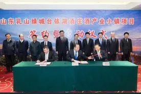 乳山市举行绿城台依湖特色小镇签约暨启动仪式图片