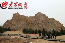 淄博高新区九顶山生态修复工程完成近70%图片