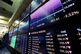 什么是公开增发股票？公开增发股票申购程序图片