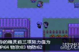 口袋妖怪漆黑的魅影十万伏特介绍图片