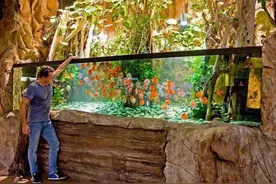 养鱼的男人为自己转起图片