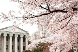 2015年韩国大学最新排名图片